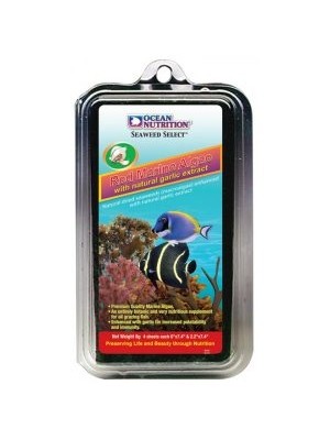 جلبک ورقه ای قرمز