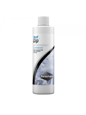 ریف دیپ (Reef Dip)