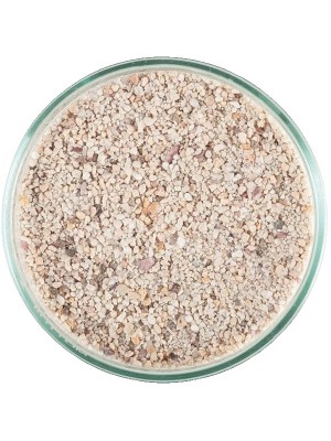 شن سفید بلک سی 