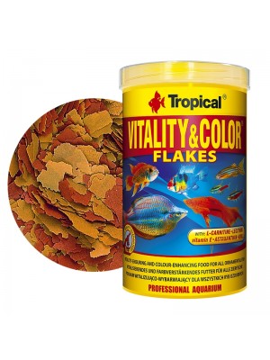 غذای ویتامینه Vitality&Color